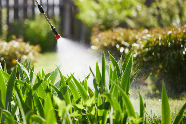 24/7 Emergency Cockroach Control experts in Mount Vernon, OH
