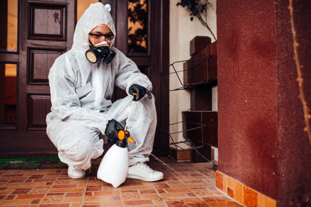 Reliable Cockroach Control contractor in Mount Vernon, OH by Nex Pest Control